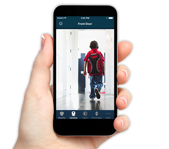 Home control systems monitoring application